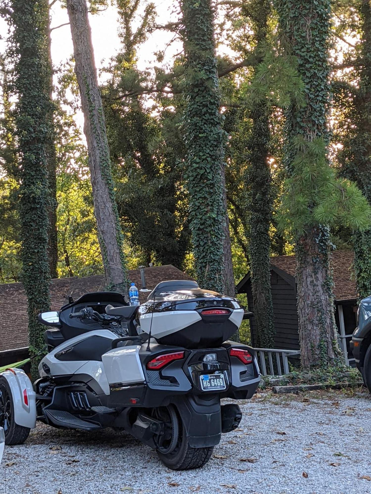 Loblolly Pines Adventure Cabin 2 King يوريكا سبرينغز المظهر الخارجي الصورة